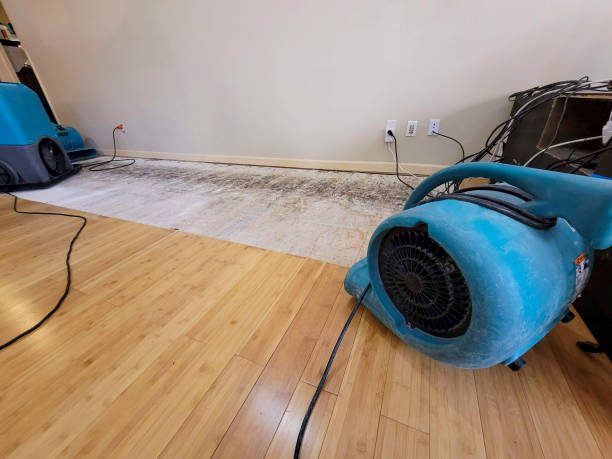 Professional Ceiling Water Damage Repair technician working in Dallas, NC